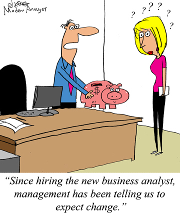 Humor - Cartoon: What a business analyst can bring to the organization